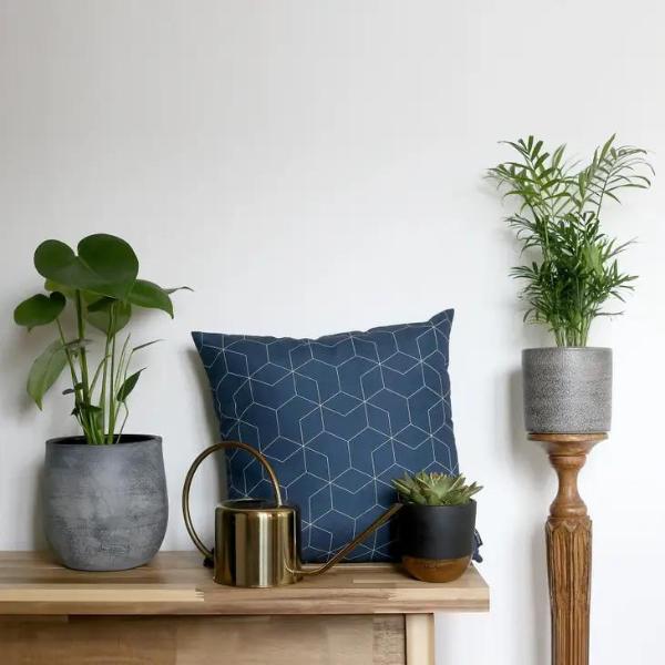 Interior design setting with planters and blue cushion on wooden table