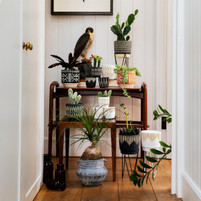 Storage Shelf with various items on the shelves