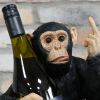 Rude Monkey Wine Bottle Holder - Image 4